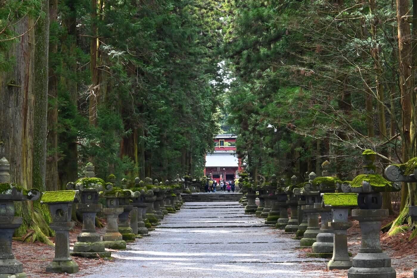 【中古】 国立公園の法と制度 楽天ブックス: 国立公園の法と制度 - 加藤峰夫 - 9784772241045 : 本